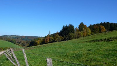 Pâturages - Photo Claude Schneider - Copyrigth