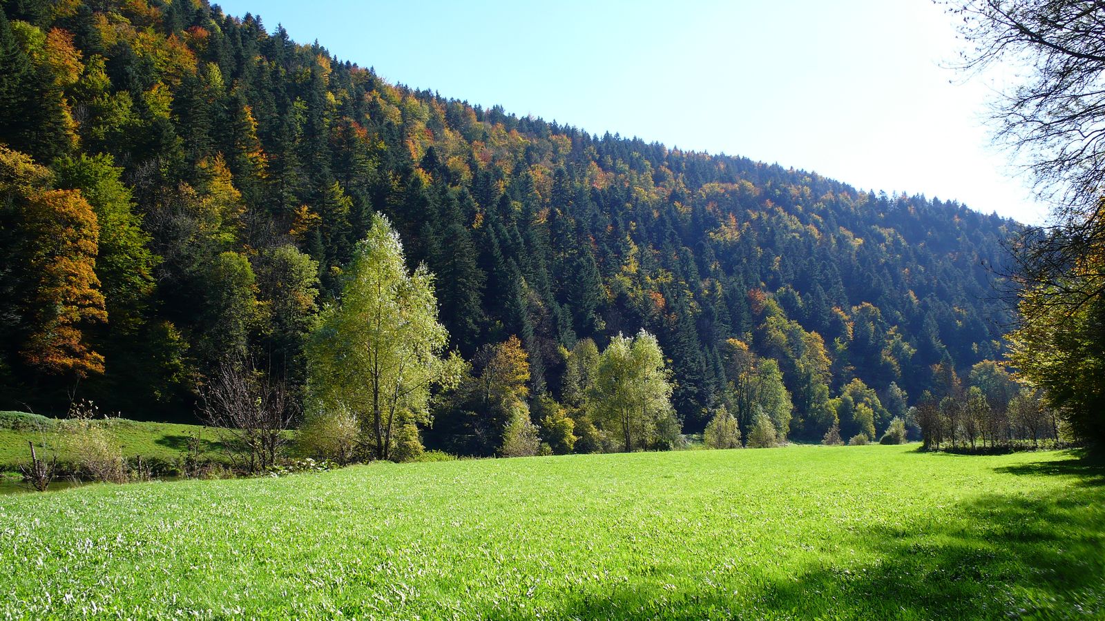 Au printemps au bief de Fuesse - Photo Claude Schneider - Copyrigth