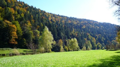 Au printemps au bord du Doubs à Fuesse - Photo Claude Schneider - Copyrigth