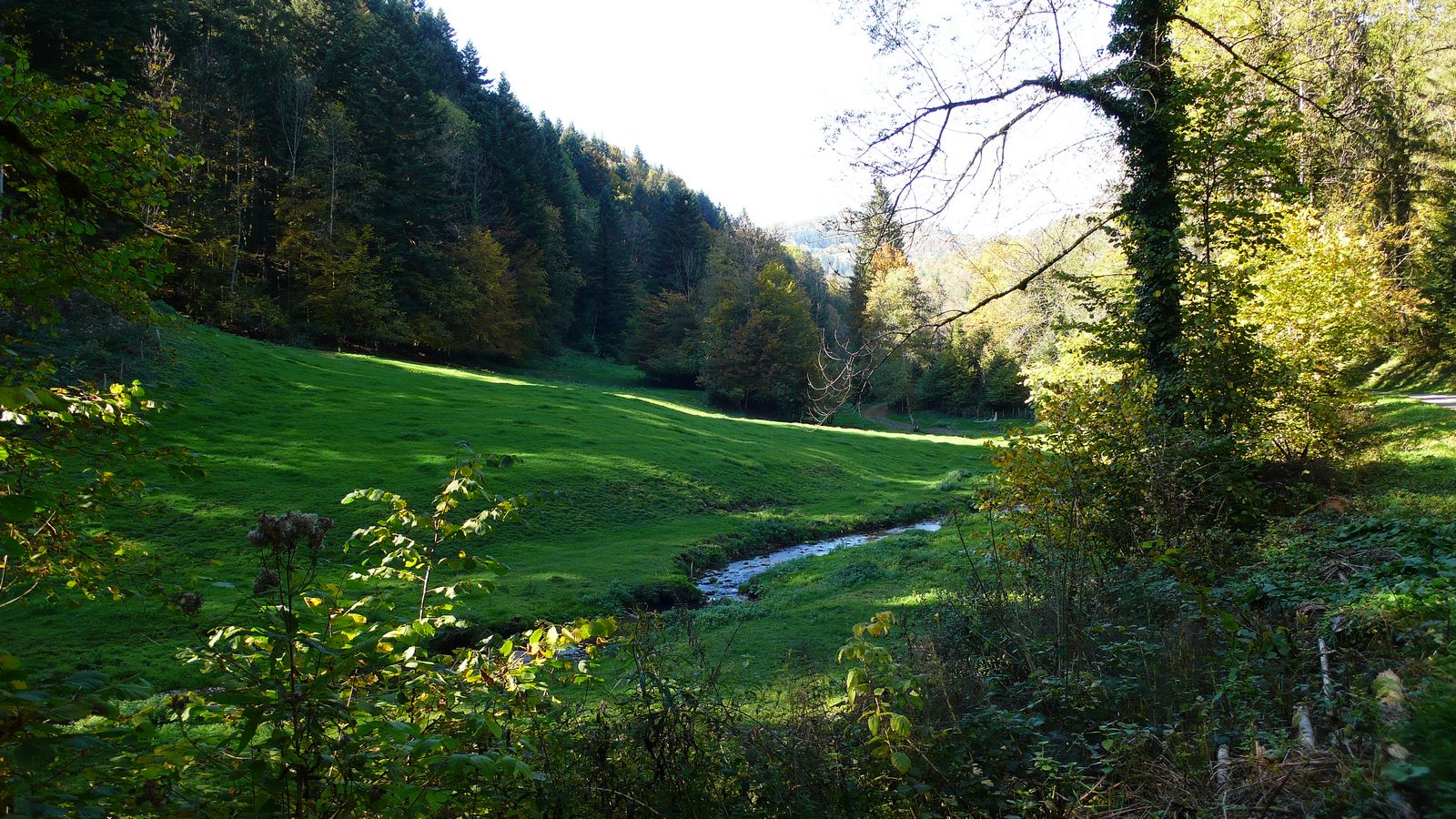 Le bief de Fuesse - Photo Claude Schneider - Copyrigth