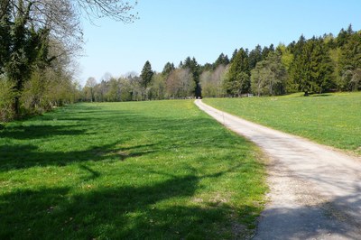 A Surmont - Photo Claude Schneider - Copyrigth