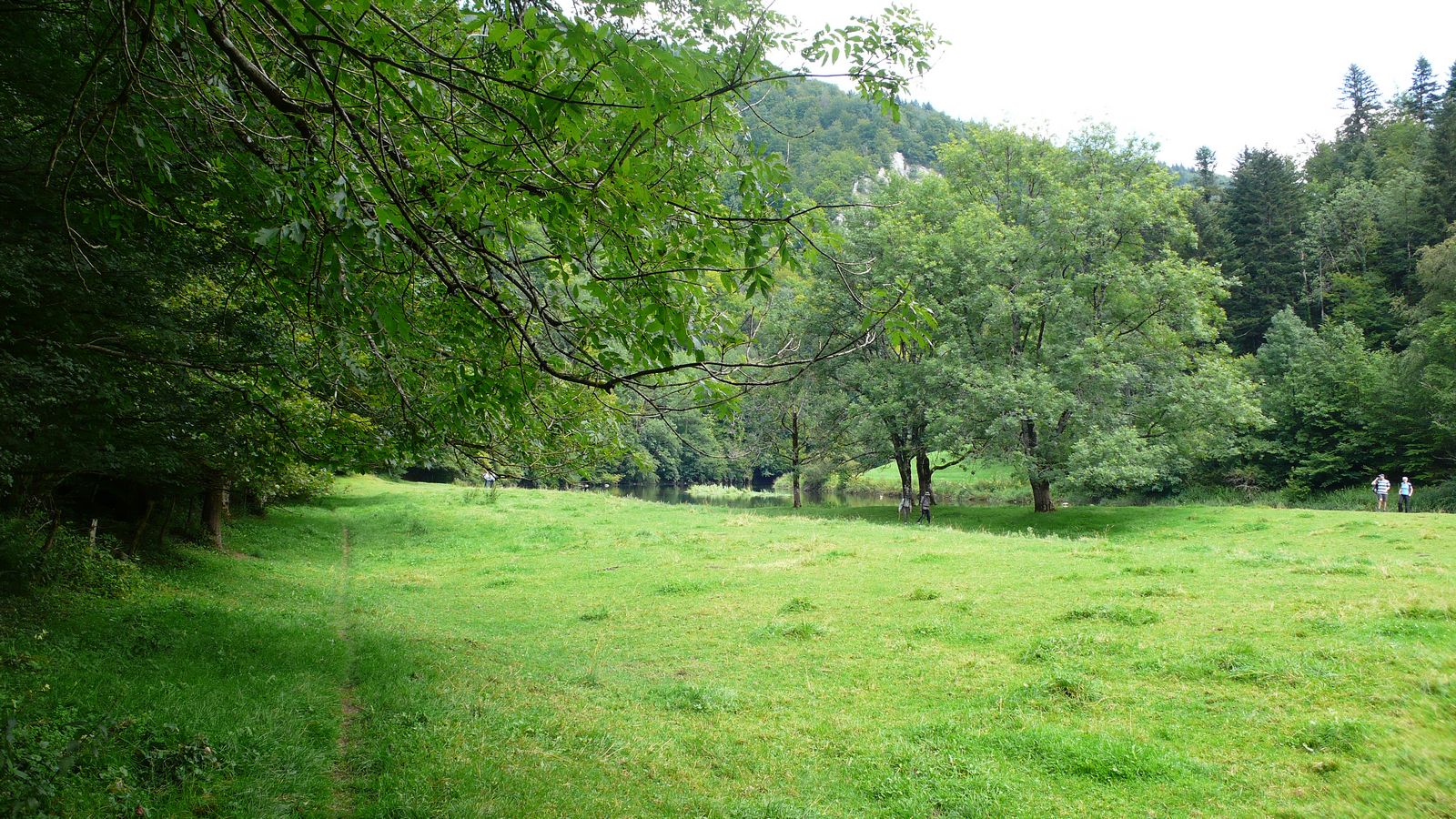 Au printemps - Photo Claude Schneider - Copyrigth
