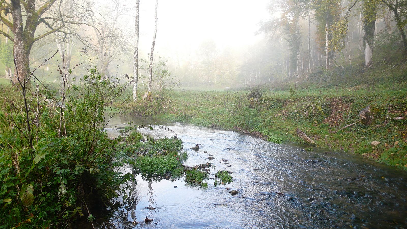 Au bief de Fuesse - Photo Claude Schneider - Copyrigth