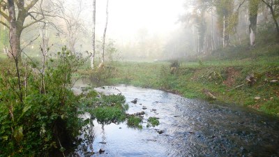 Au bief de Fuesse - Photo Claude Schneider - Copyrigth