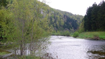 Le Doubs à Fuesse - Photo Claude Schneider - Copyrigth