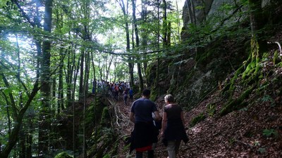 Promenades en sous bois 11 - Photo Claude Schneider - Copyright