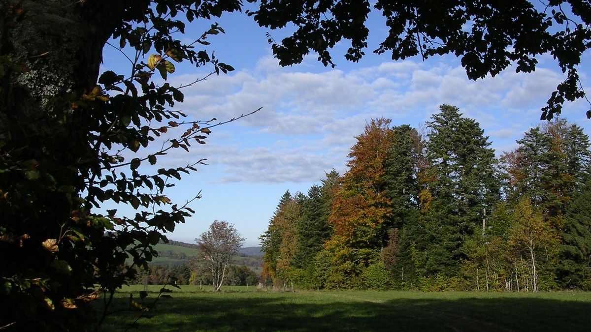 Promenades - Photo Claude Schneider - Copyright
