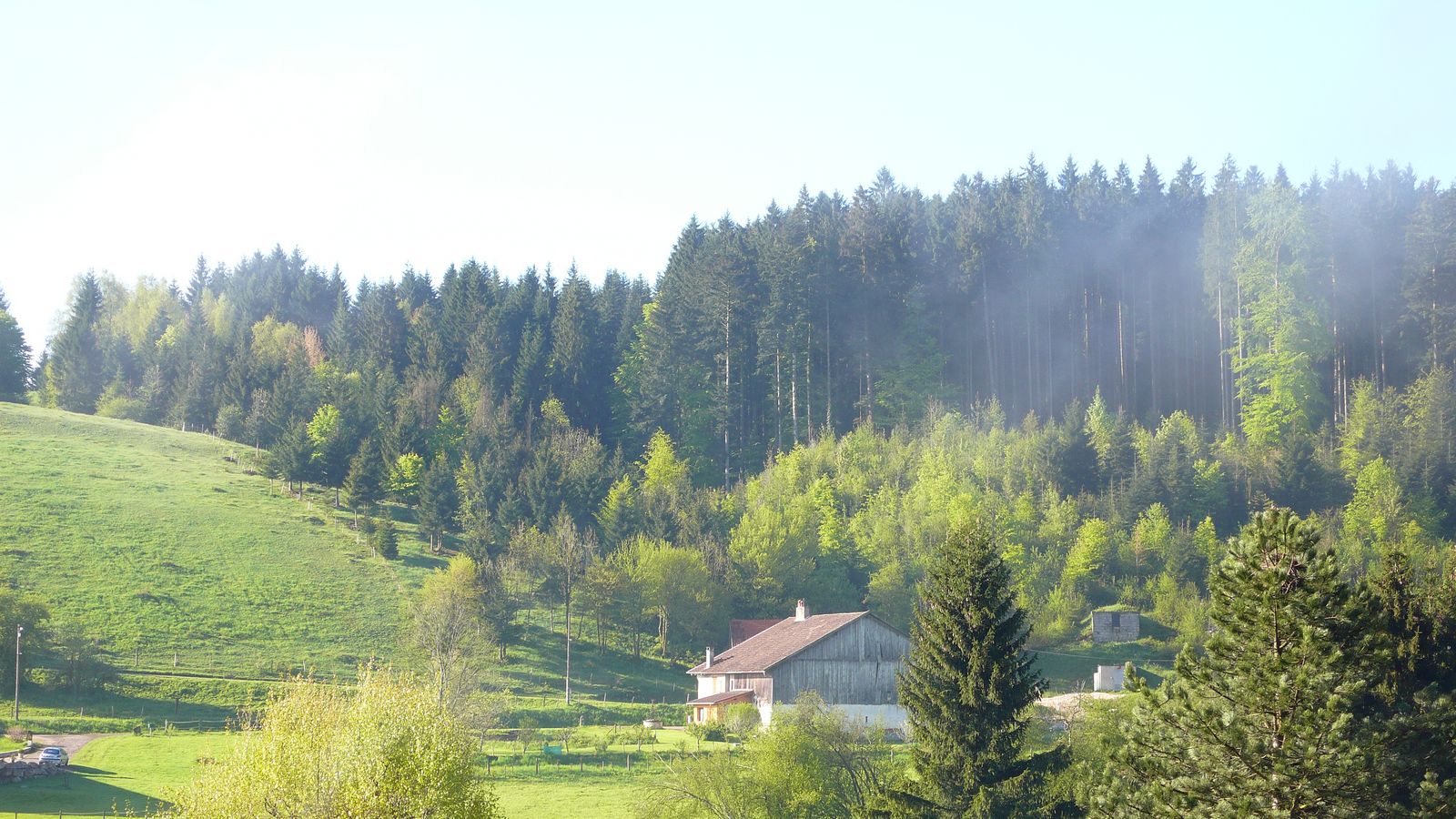 En lisière du village 2 - Photo Claude Schneider - Copyright 