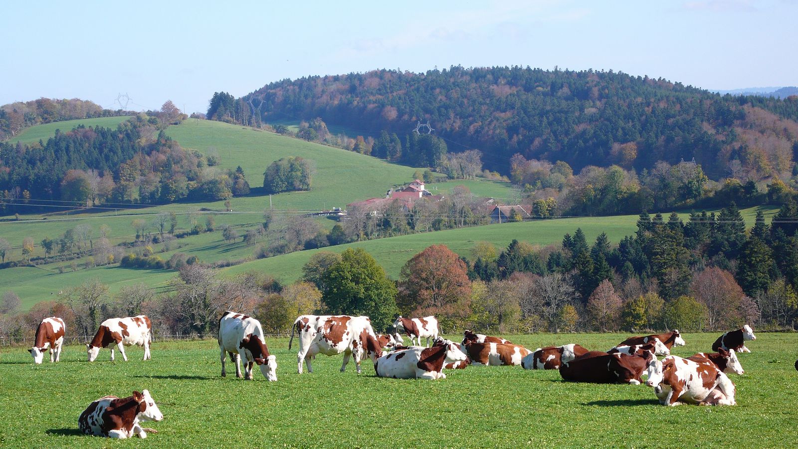 Hameau de Chauvilliers 3 - Photo Claude Schneider - Copyright 