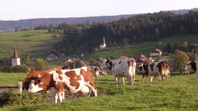 Vue du versant sud - Photo Claude Schneider - Copyright   