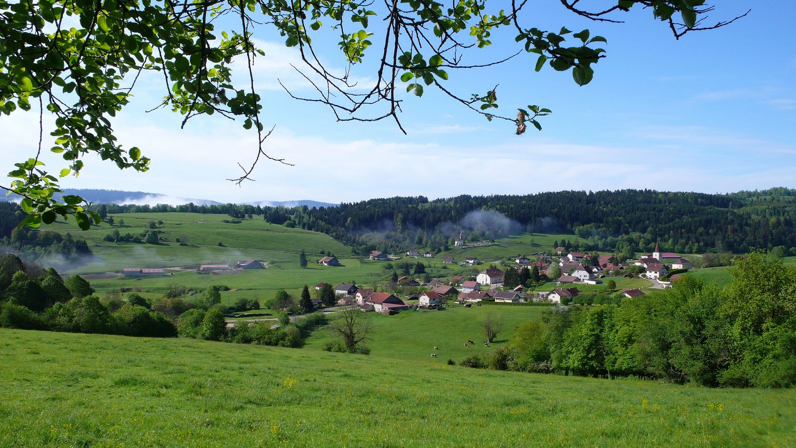 Vue du versant Montnoiron 2 - Photo Claude Schneider - Copyright   