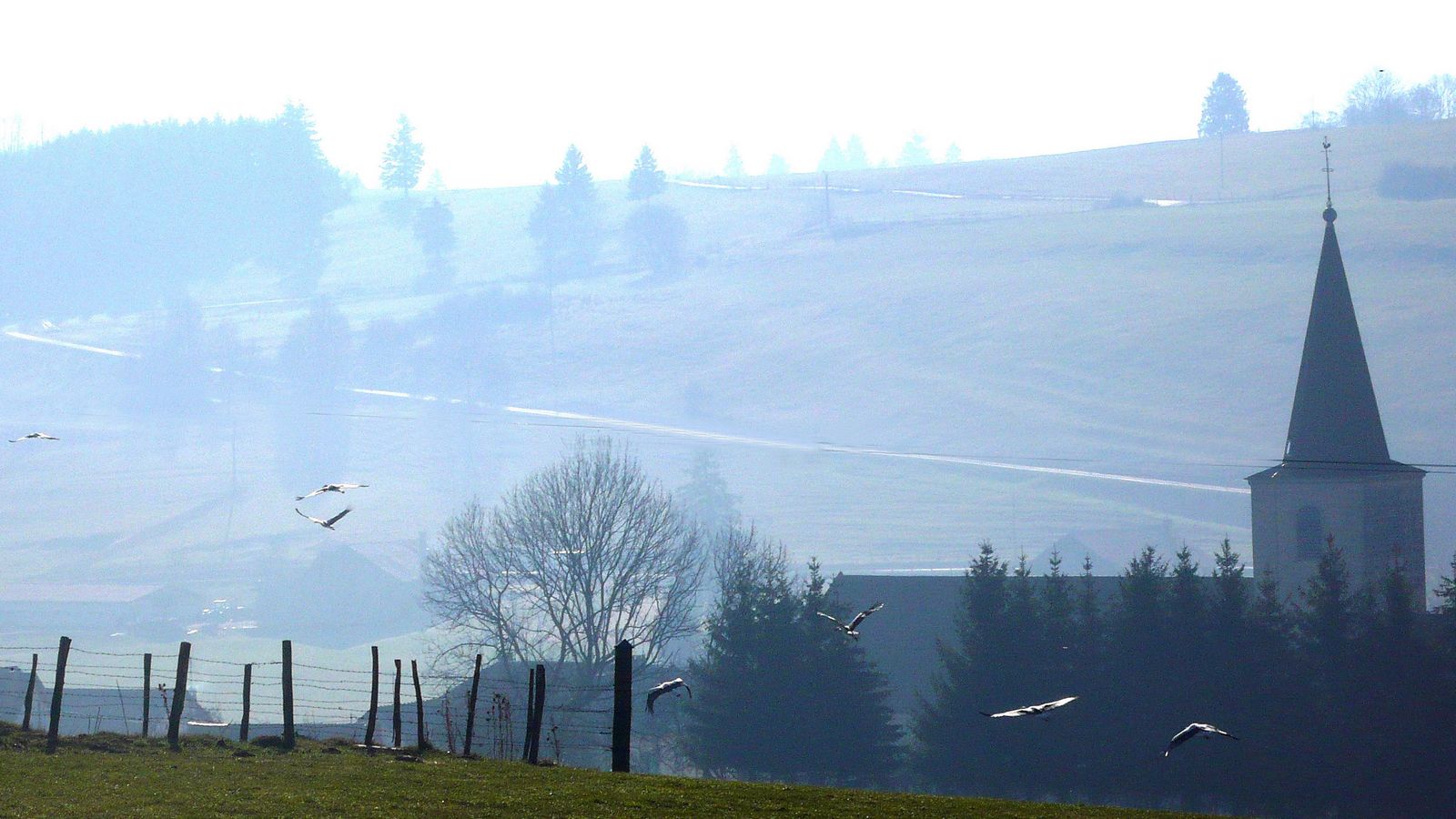 ... et que des cigognes se posent - Photo Claude Schneider - Copyright 