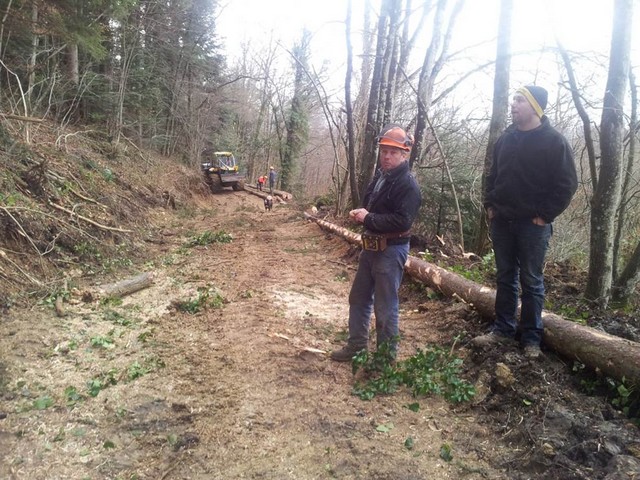 Coupes Débardages en forêt annuel