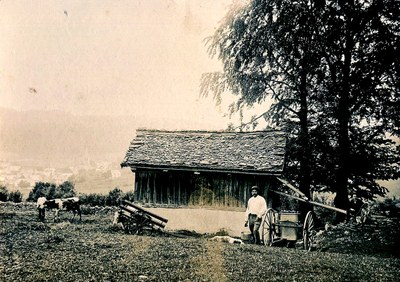 Agriculture 19è k673