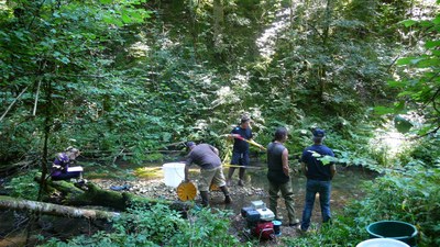 Bief de Fuesse Comptage poissons 2103